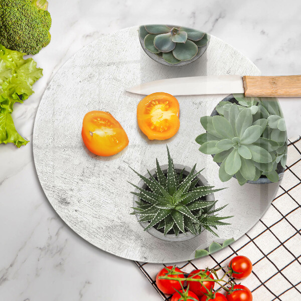 Üveg vágódeszka Pozsgás növények betonon