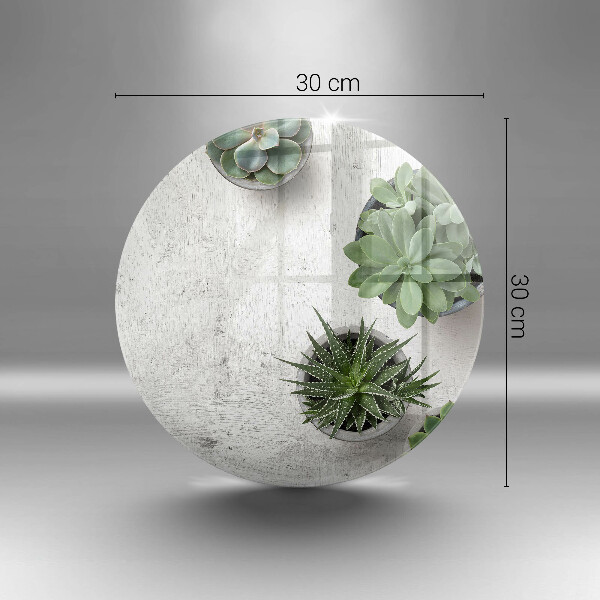 Üveg vágódeszka Pozsgás növények betonon