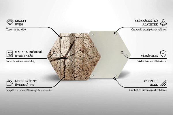Üveg vágódeszka Egy fa keresztmetszete