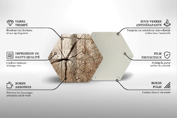 Üveg vágódeszka Egy fa keresztmetszete