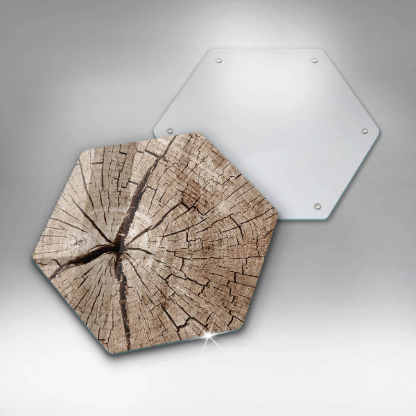 Üveg vágódeszka Egy fa keresztmetszete