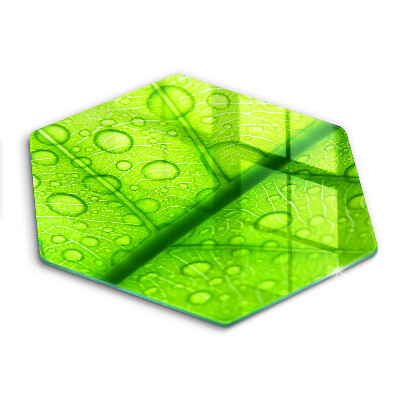 Üveg vágódeszka Közeli kép egy levélről