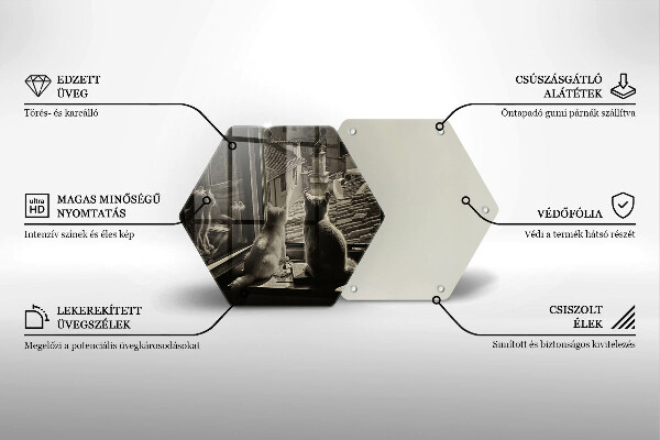 Üveg vágódeszka Macskák város és ablak