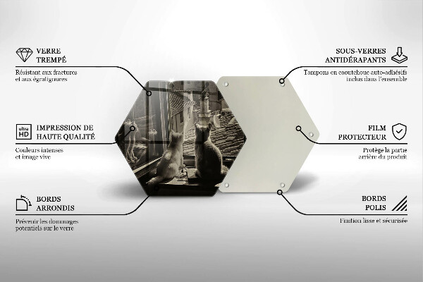 Üveg vágódeszka Macskák város és ablak