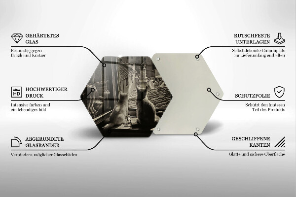 Üveg vágódeszka Macskák város és ablak