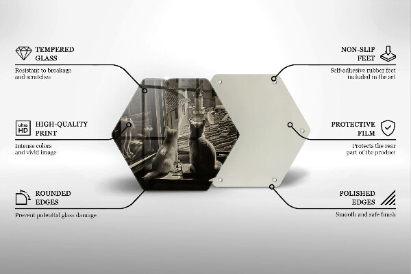 Üveg vágódeszka Macskák város és ablak