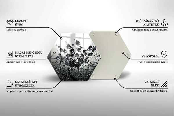 Üveg vágódeszka Pitypang és harmat