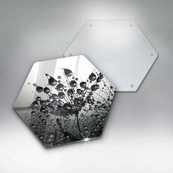 Üveg vágódeszka Pitypang és harmat