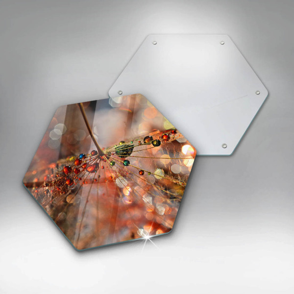 Üveg vágódeszka Nedves pitypang