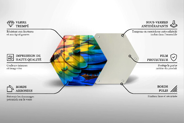 Üveg vágódeszka Színes papagáj toll