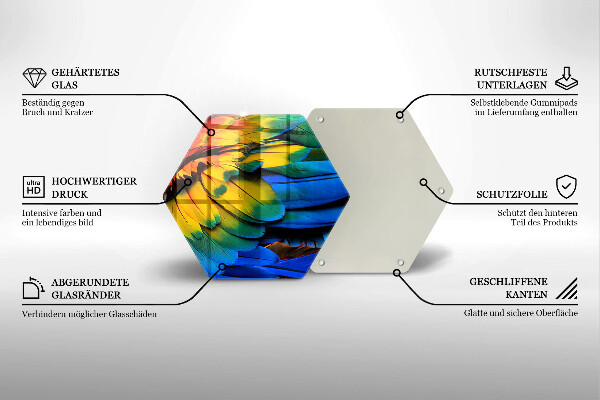 Üveg vágódeszka Színes papagáj toll