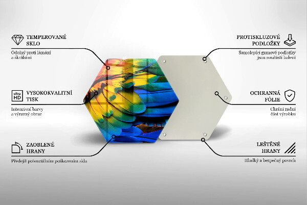 Üveg vágódeszka Színes papagáj toll
