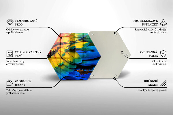 Üveg vágódeszka Színes papagáj toll