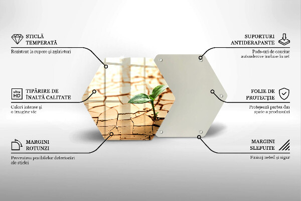 Üveg vágódeszka Magányos növény