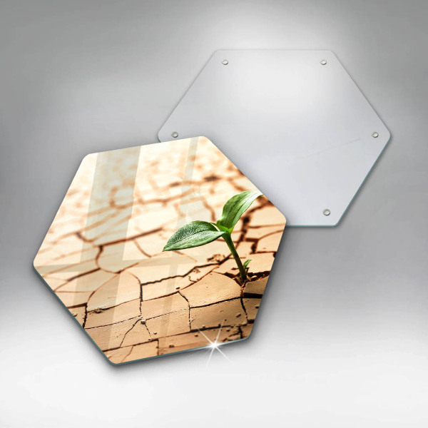 Üveg vágódeszka Magányos növény