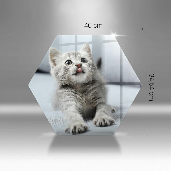 Üveg vágódeszka Aranyos kis cica