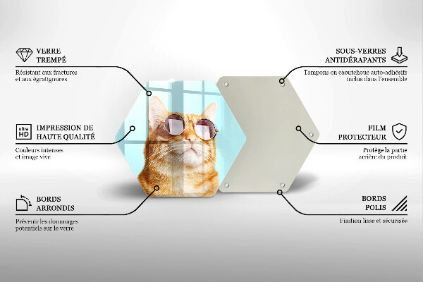 Üveg vágódeszka Vörös macska szemüveggel