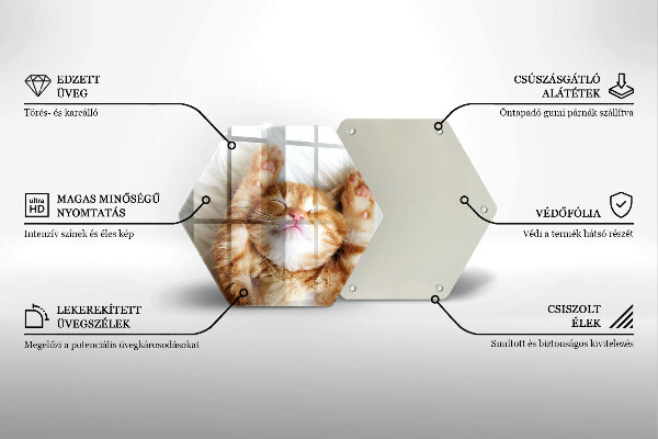 Üveg vágódeszka Aranyos kis cica