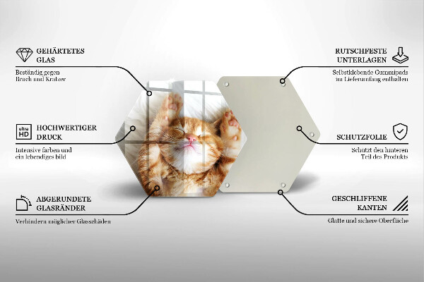 Üveg vágódeszka Aranyos kis cica
