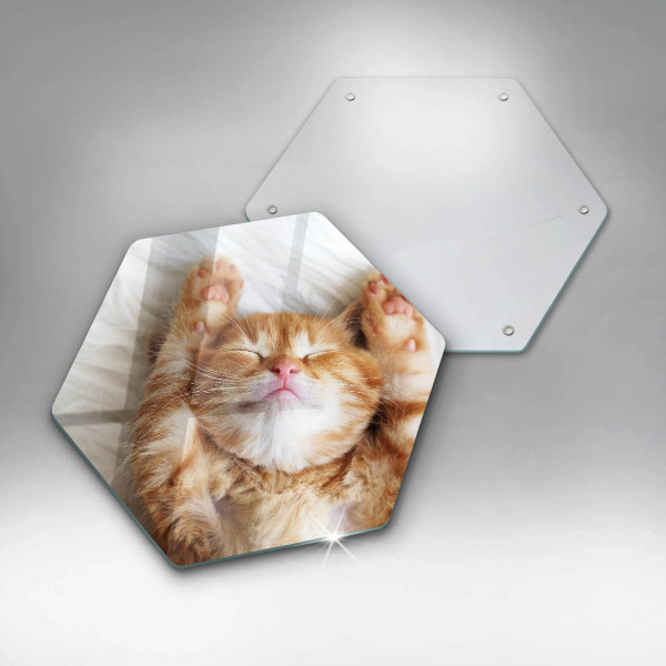 Üveg vágódeszka Aranyos kis cica