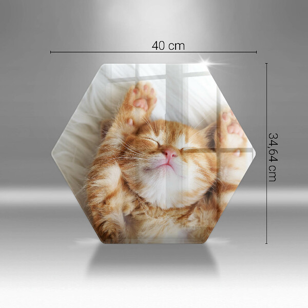 Üveg vágódeszka Aranyos kis cica