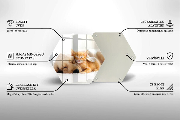 Üveg vágódeszka Állatok kutya és macska