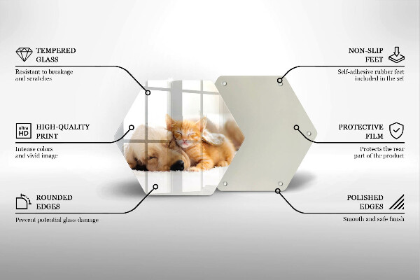 Üveg vágódeszka Állatok kutya és macska