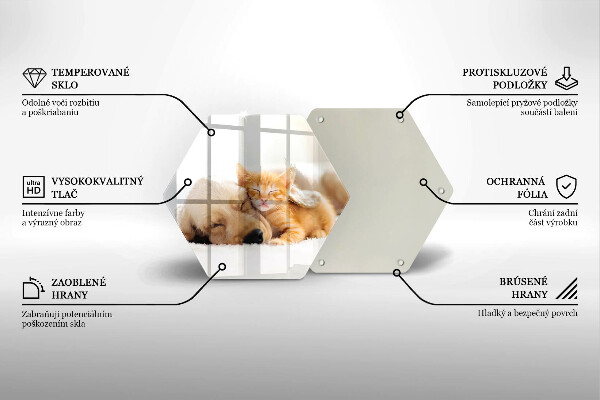 Üveg vágódeszka Állatok kutya és macska