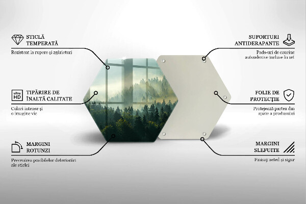 Üveg vágódeszka Tájkép az erdőre