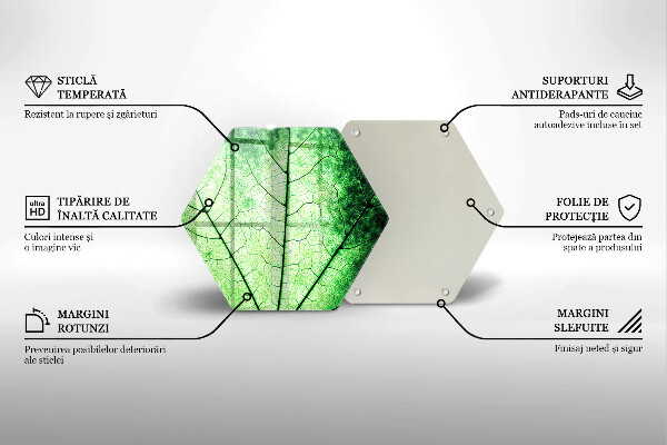 Üveg vágódeszka Dekoratív érlevél