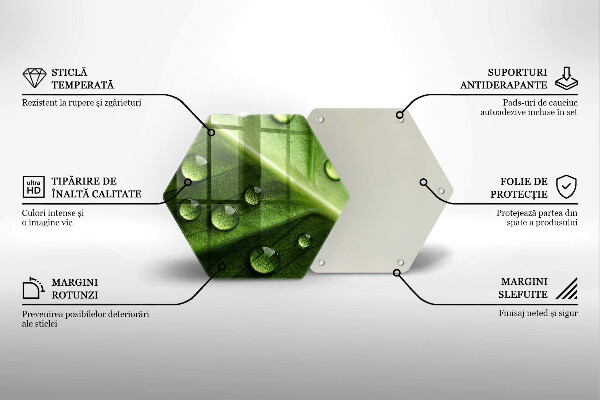 Üveg vágódeszka Természet harmat és levél