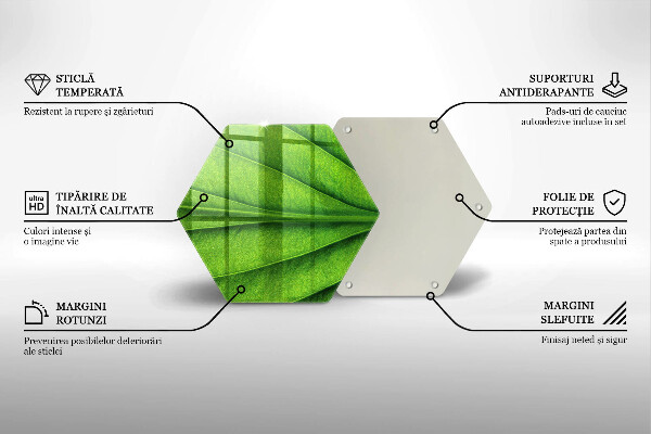 Üveg vágódeszka Természet ér levél