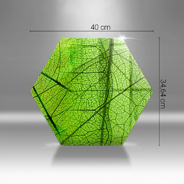 Üveg vágódeszka Természetes levélerek