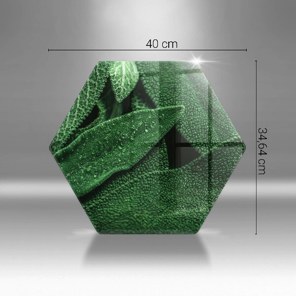 Üveg vágódeszka A növény levelei