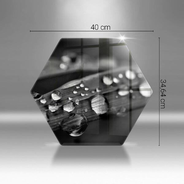 Üveg vágódeszka Harmatcseppek a leveleken