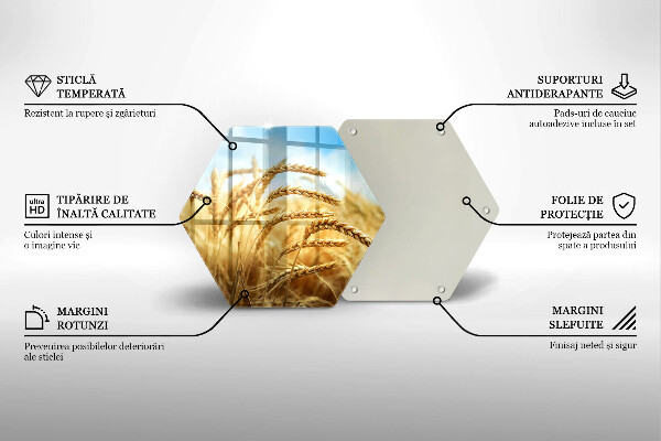 Üveg vágódeszka Kalász gabonafélék a területen