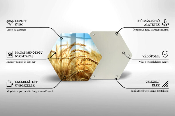 Üveg vágódeszka Kalász gabonafélék a területen