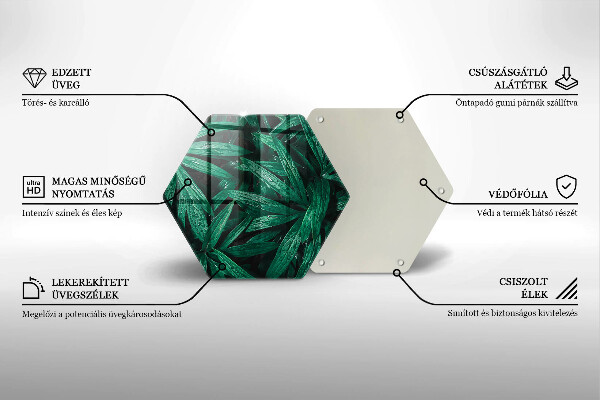 Üveg vágódeszka Növények levelei