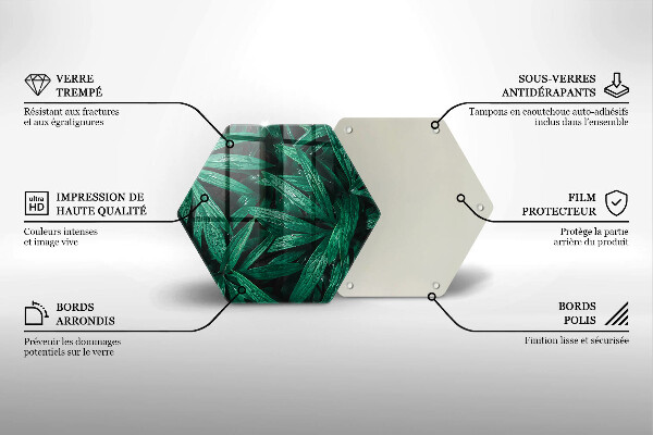 Üveg vágódeszka Növények levelei