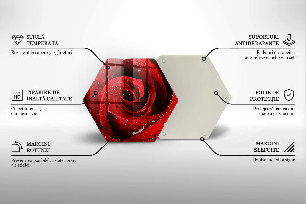 Üveg vágódeszka Rózsa virág szirmai