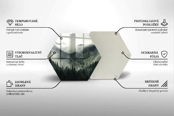 Üveg vágódeszka Erdő és köd táj