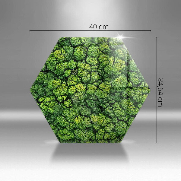 Üveg vágódeszka Természet moha növény