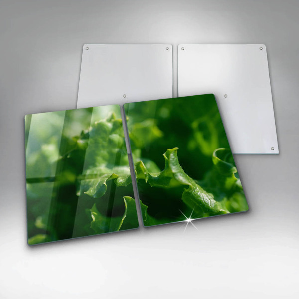 Főzőlap védő üveglap Saláta levelek