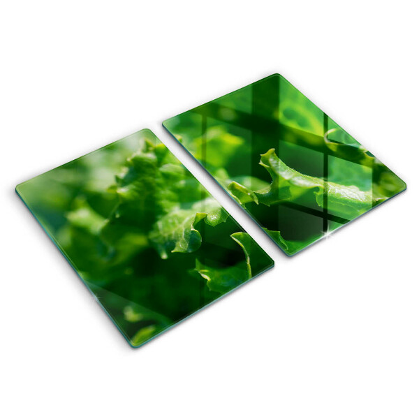 Főzőlap védő üveglap Saláta levelek