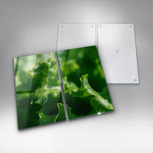 Főzőlap védő üveglap Saláta levelek