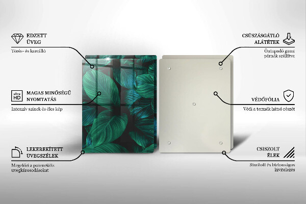 Főzőlap védő üveglap Dzsungel levelei