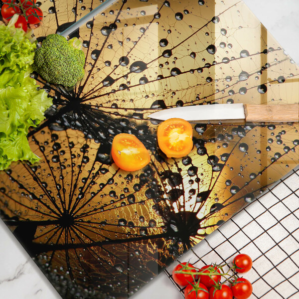 Főzőlap védő üveglap Harmat és pitypang