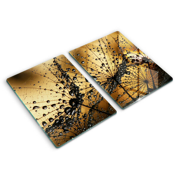 Főzőlap védő üveglap Harmat és pitypang