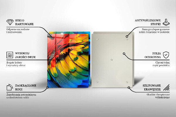 Főzőlap védő üveglap Színes papagáj toll