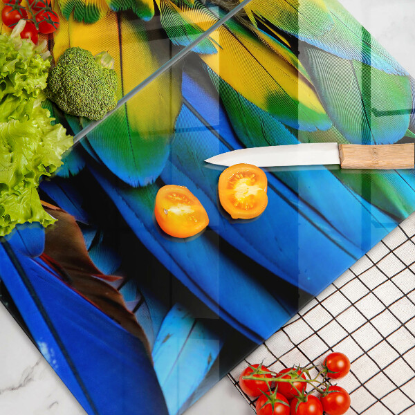 Főzőlap védő üveglap Színes papagáj toll